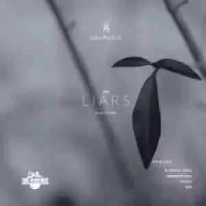 Udumusic, Hlayisani - The Liars (Alias K  Remix)